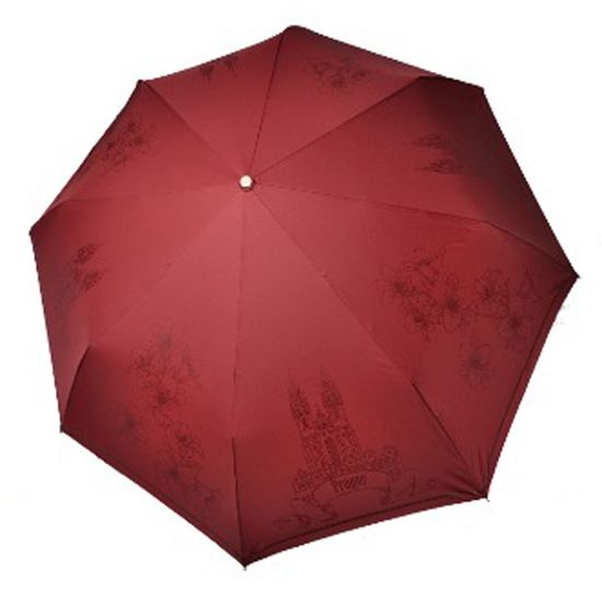 Женский зонт Три Слона  - Полный автомат 198-B-01