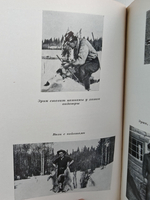 Трое против дебрей