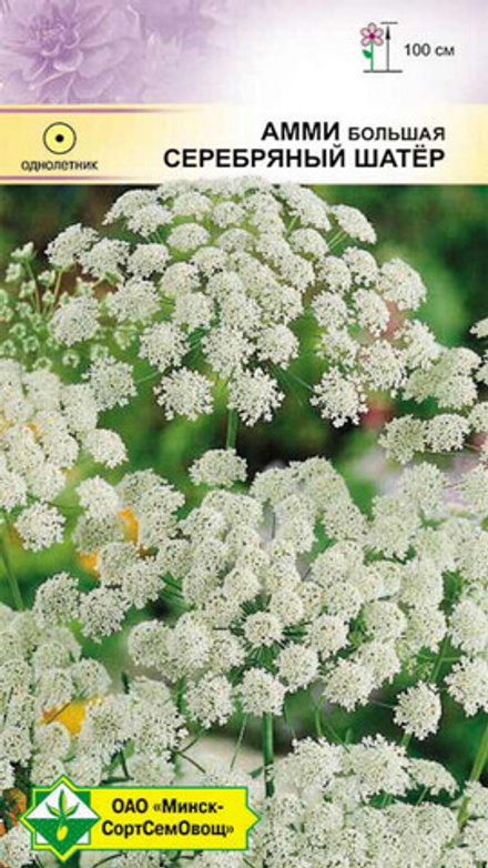 Амми большая "Серебряный шатер" 0,3г., Германия.