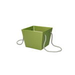 1 марта ☀️ композиция Весенний водоворот — садовые и ароматные розы и душистая пушистая мимоза — Ø ~ 25 см — в коробке