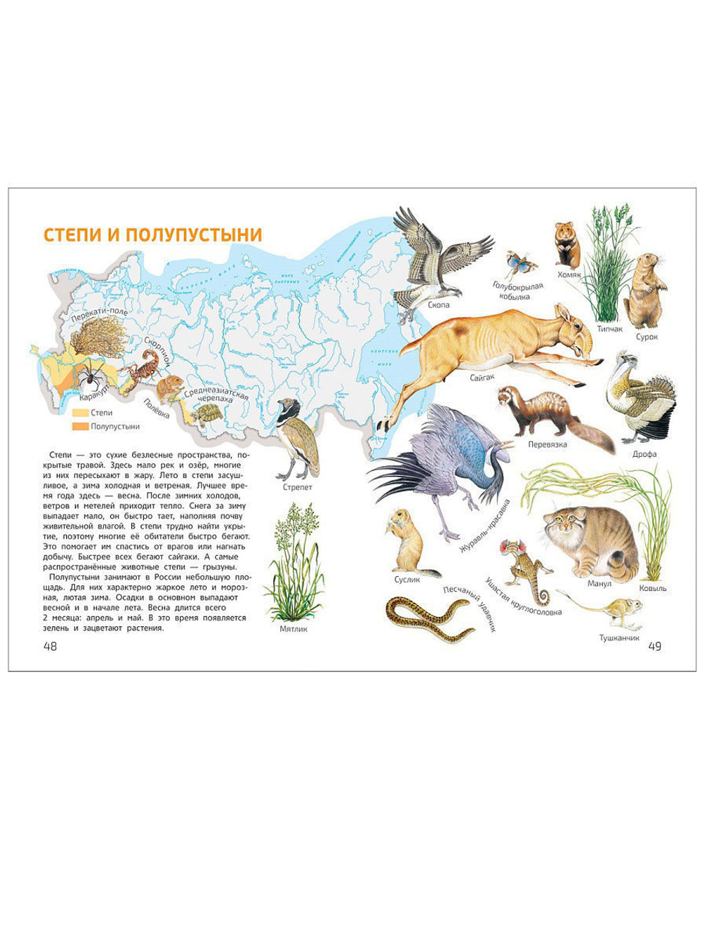 Мир и человек. Мой любимый географический атлас