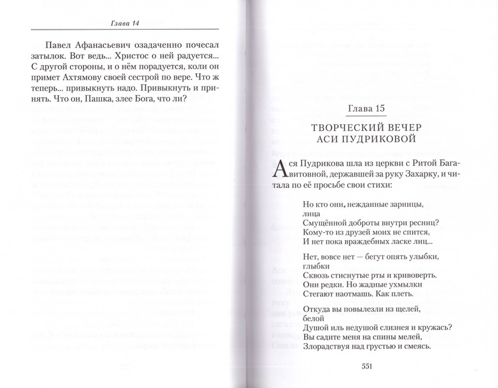 Пятый мост. Вероника  Черных