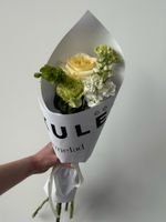 Кулек сборный из молюцелла, маттиолы и диантусов