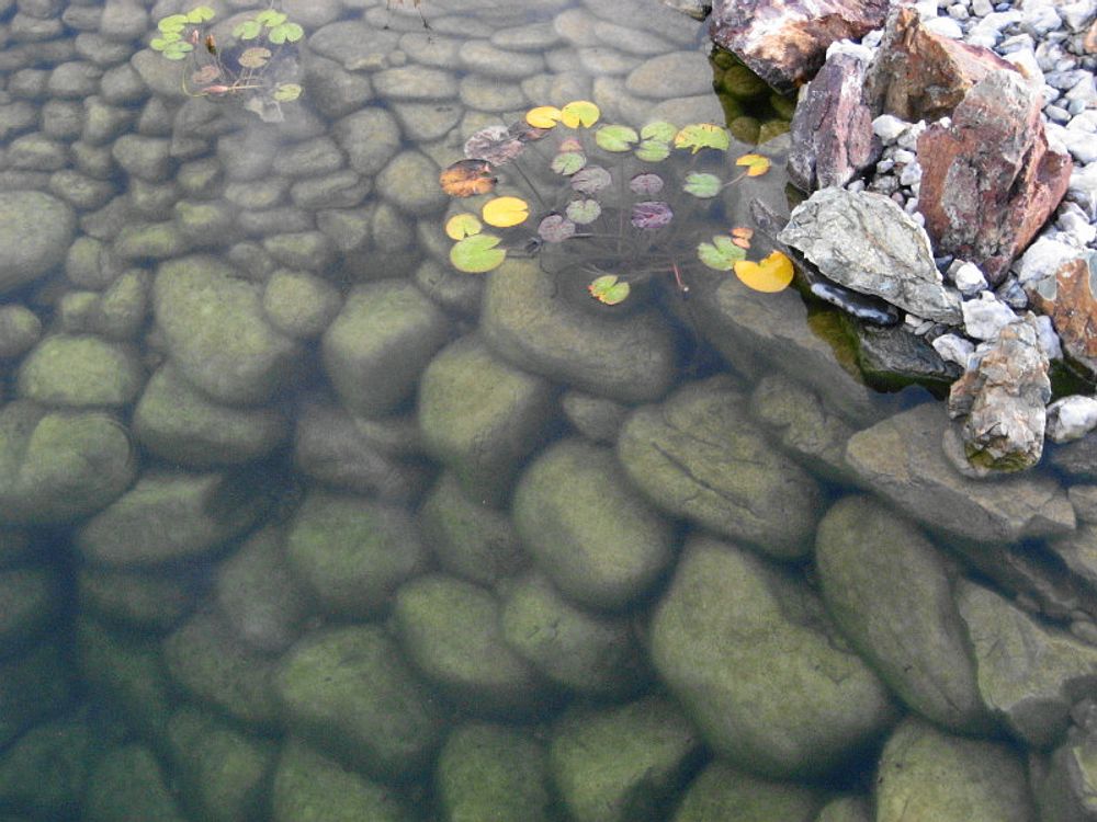 Водоём Булыжник речной Серый