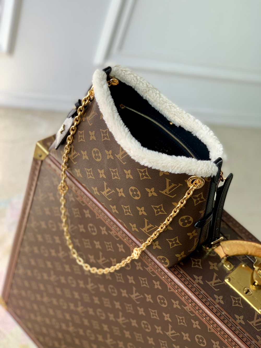 Louis Vuitton CarryAll BB