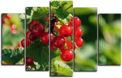 Модульная картина "Спелые ягоды"
