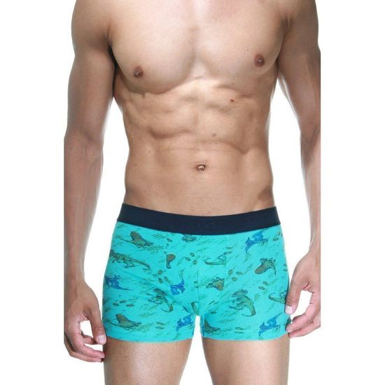 Трусы мужские боксеры бирюзовые с принтом DARKZONE DZN2638