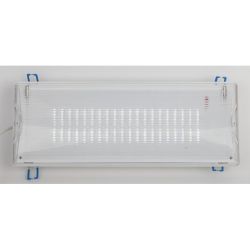 Аварийный светильник светодиодный ЭРА DPA-301-1-65 постоянный/непостоянный 40LED 3ч IP65