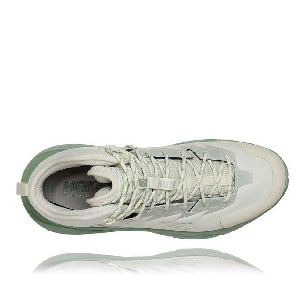Ботинки мужские HOKA M KAHA GTX Celadon Tint / Basil