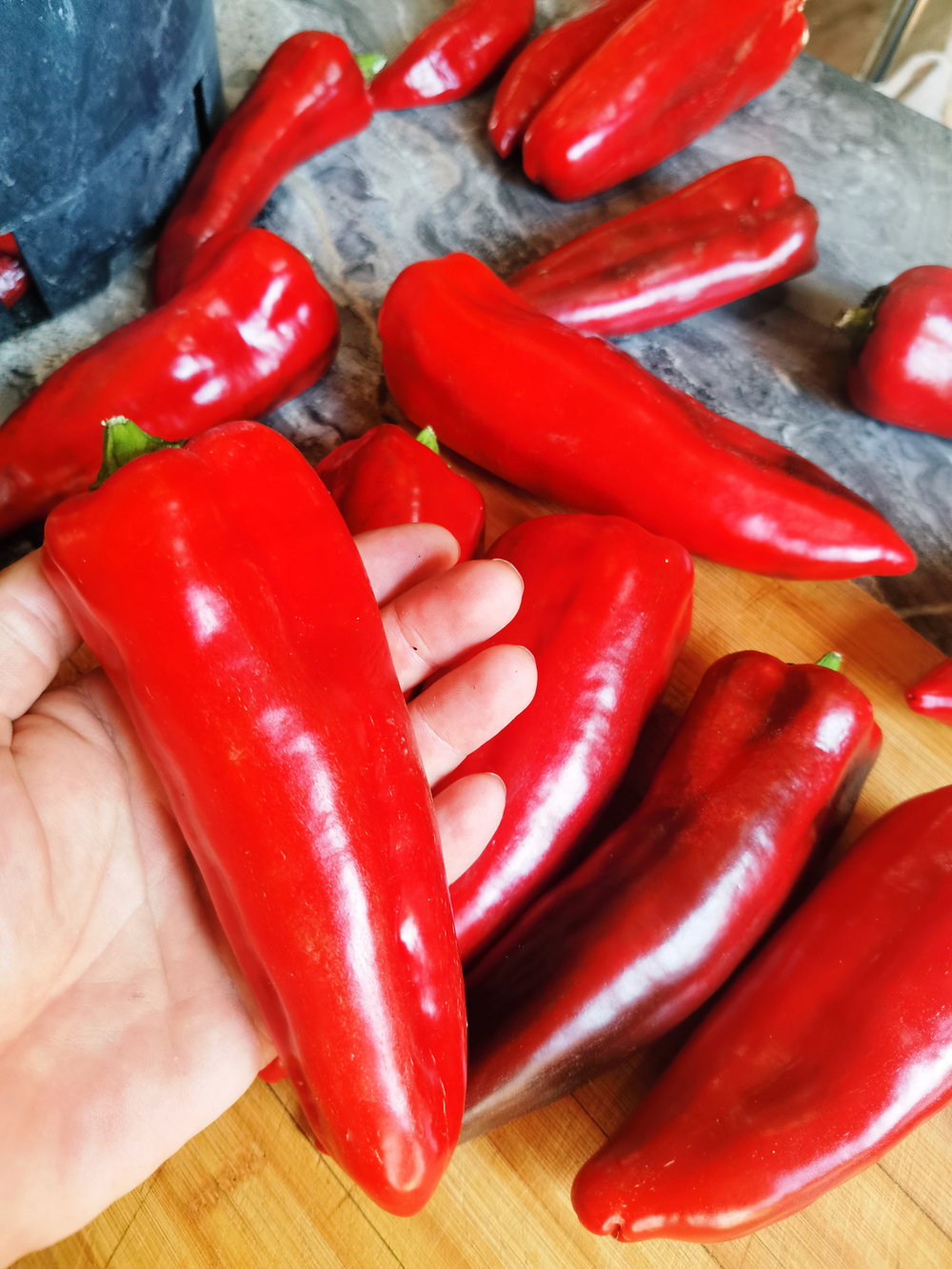 Перец Сахарный — Вишнёвое Вино