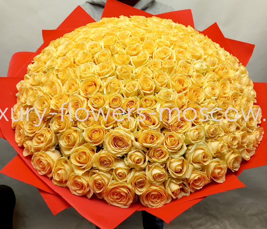 201 персиковая роза рф