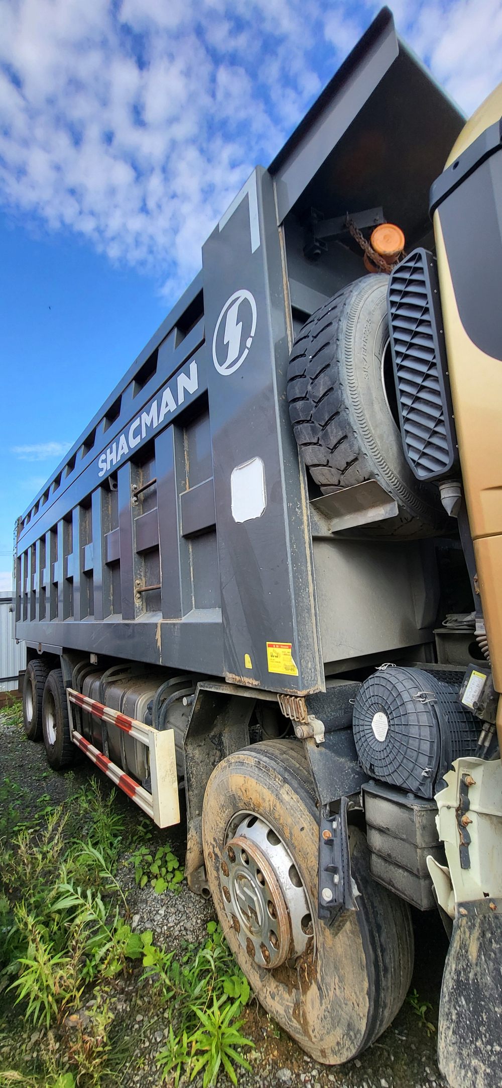 Shacman (Shaanxi) SX* 8x4 Самосвал SX331863366 (Дизельный, 12,5 л, 544 л.с., МТ)