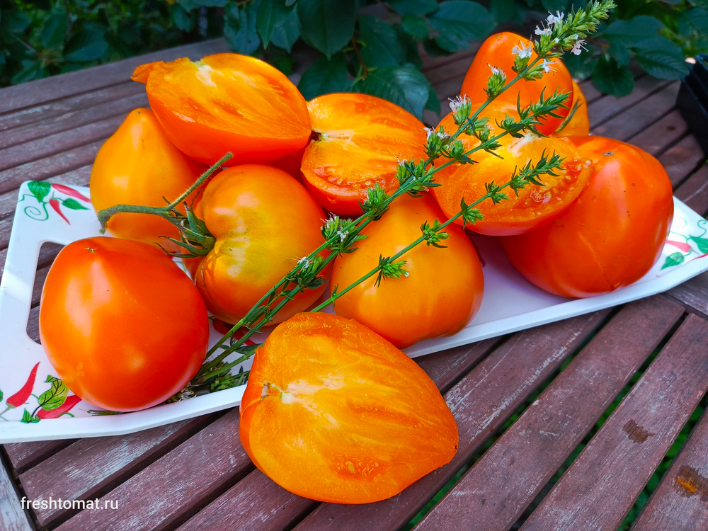 Озеро Брэт жёлтое сорт томата