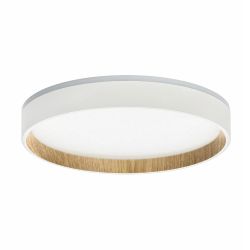 Citilux ETALON CL750240 LED Светильник с подсветкой Белый+Бук