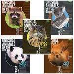 Тетрадь А5 48 л. HATBER-ECO, скоба, клетка, обложка картон, "Animals", 48Т5C1