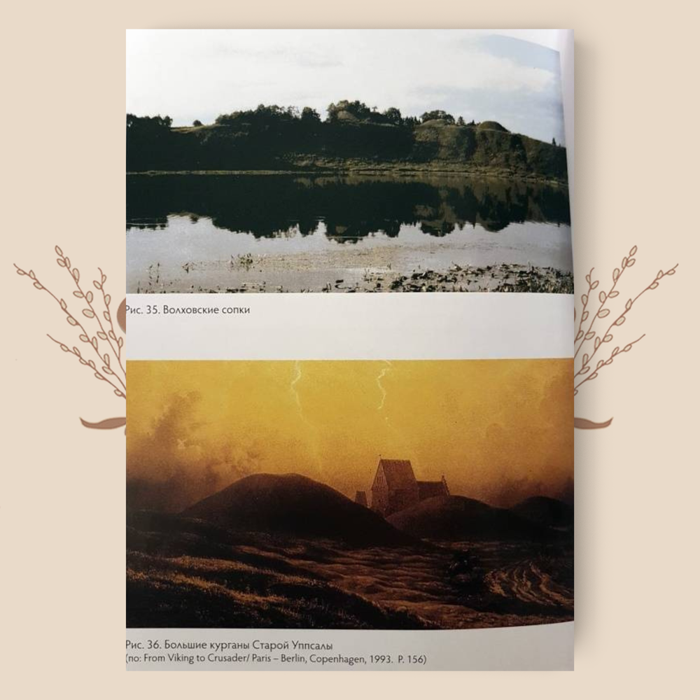 Русь в IX-X веках. От призвания варягов до выбора веры. Петрухин В.Я.