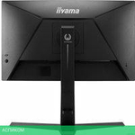 Игровой монитор Iiyama G-Master Red Eagle GB2466HSU-B1