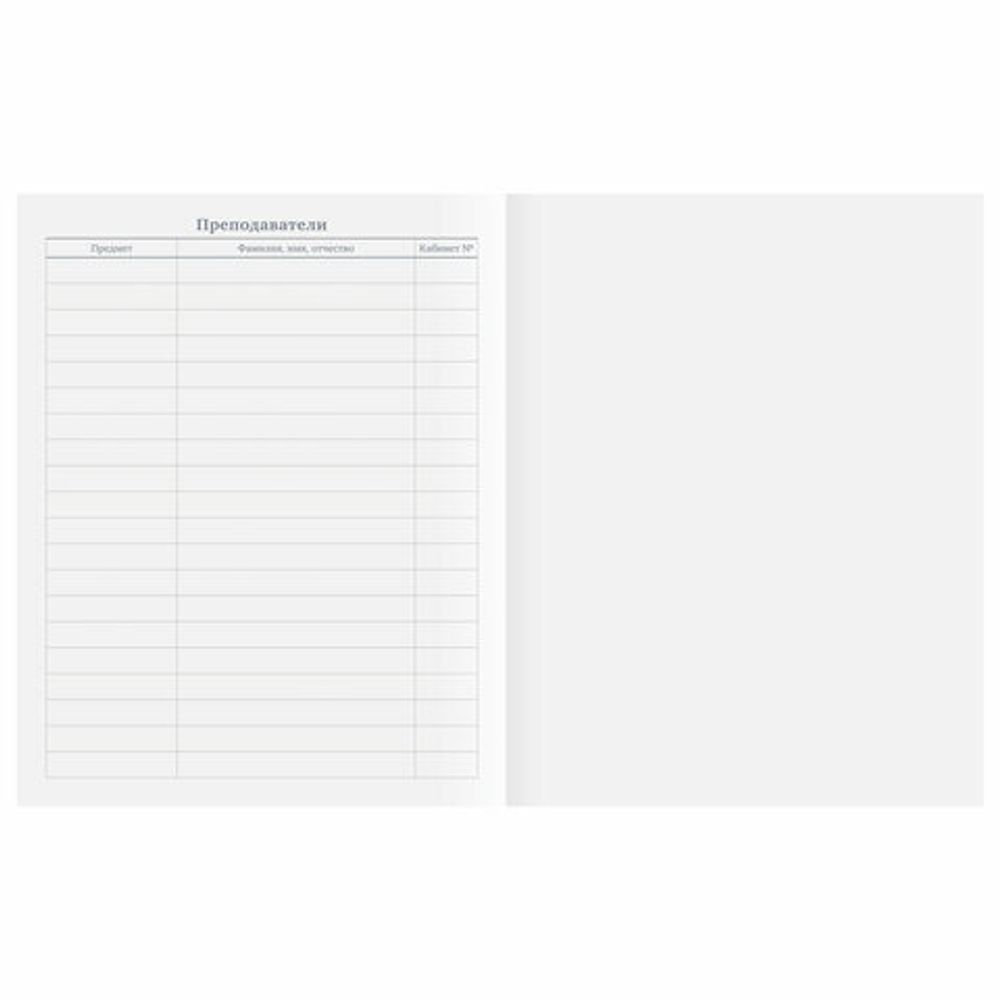 Дневник 1-11 класс 40 л., на скобе, ПИФАГОР, обложка картон, "Football", 106341