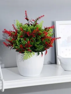 Бонсай в горшке "Куфея пышная" 10*20 см, микс