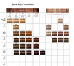 Краска для волос Igora Absolutes 6-50 Темный Русый Золотистый Натуральный Schwarzkopf Professional, 60 мл