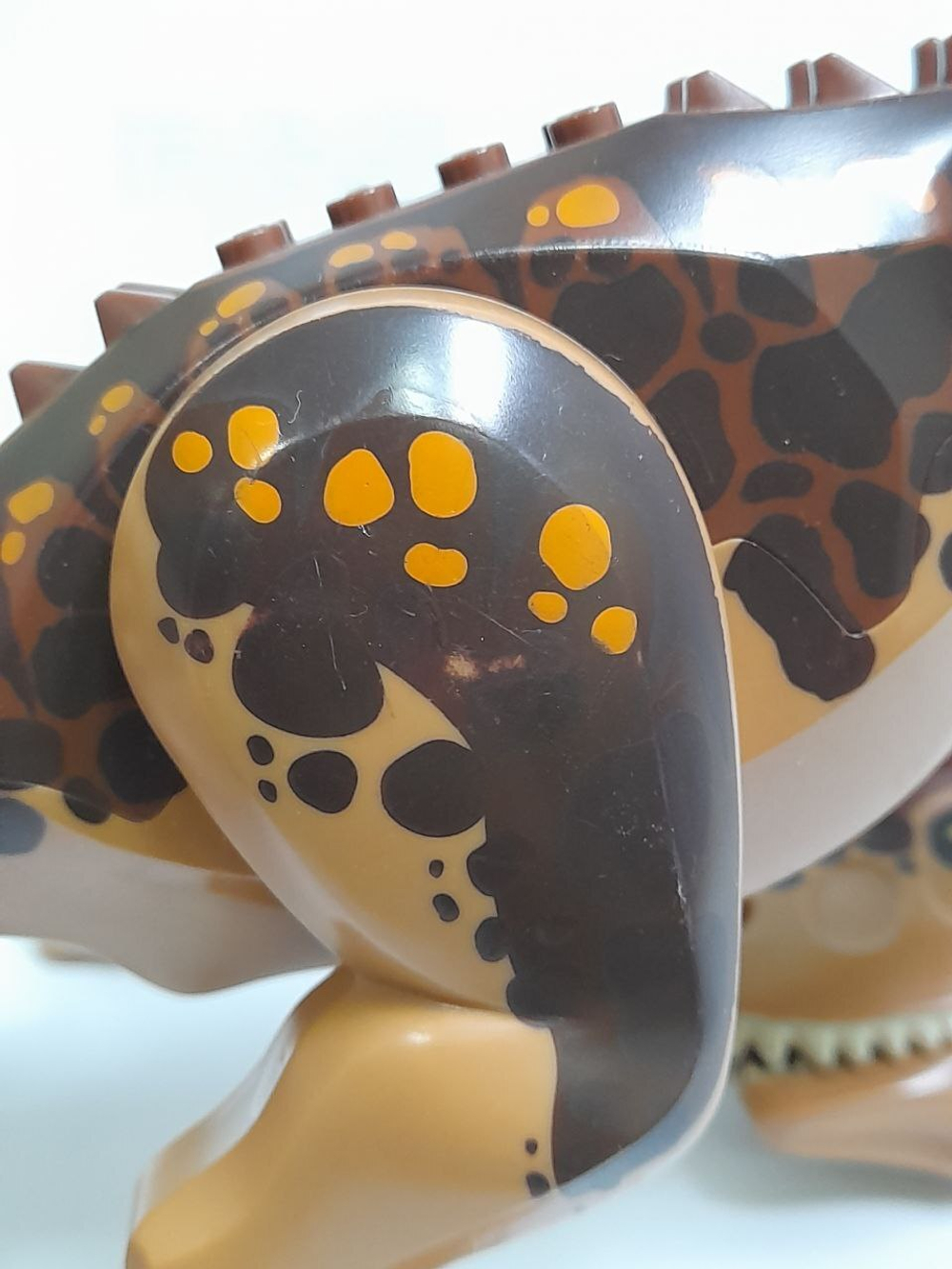 USED Карнотавр carn01