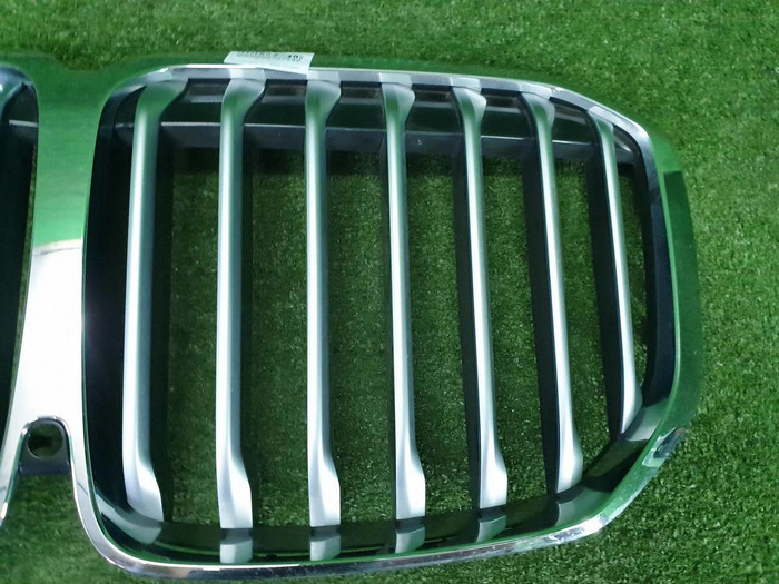 Решетка радиатора BMW X7 G07 (2019-2022)