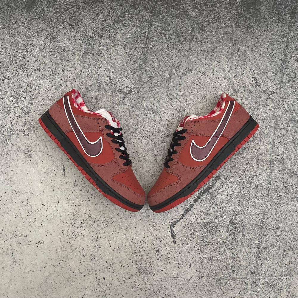 photo_2025-11-22_16-35-12