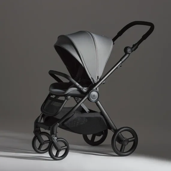 Коляска ANEX iQ 2 в 1 Loft