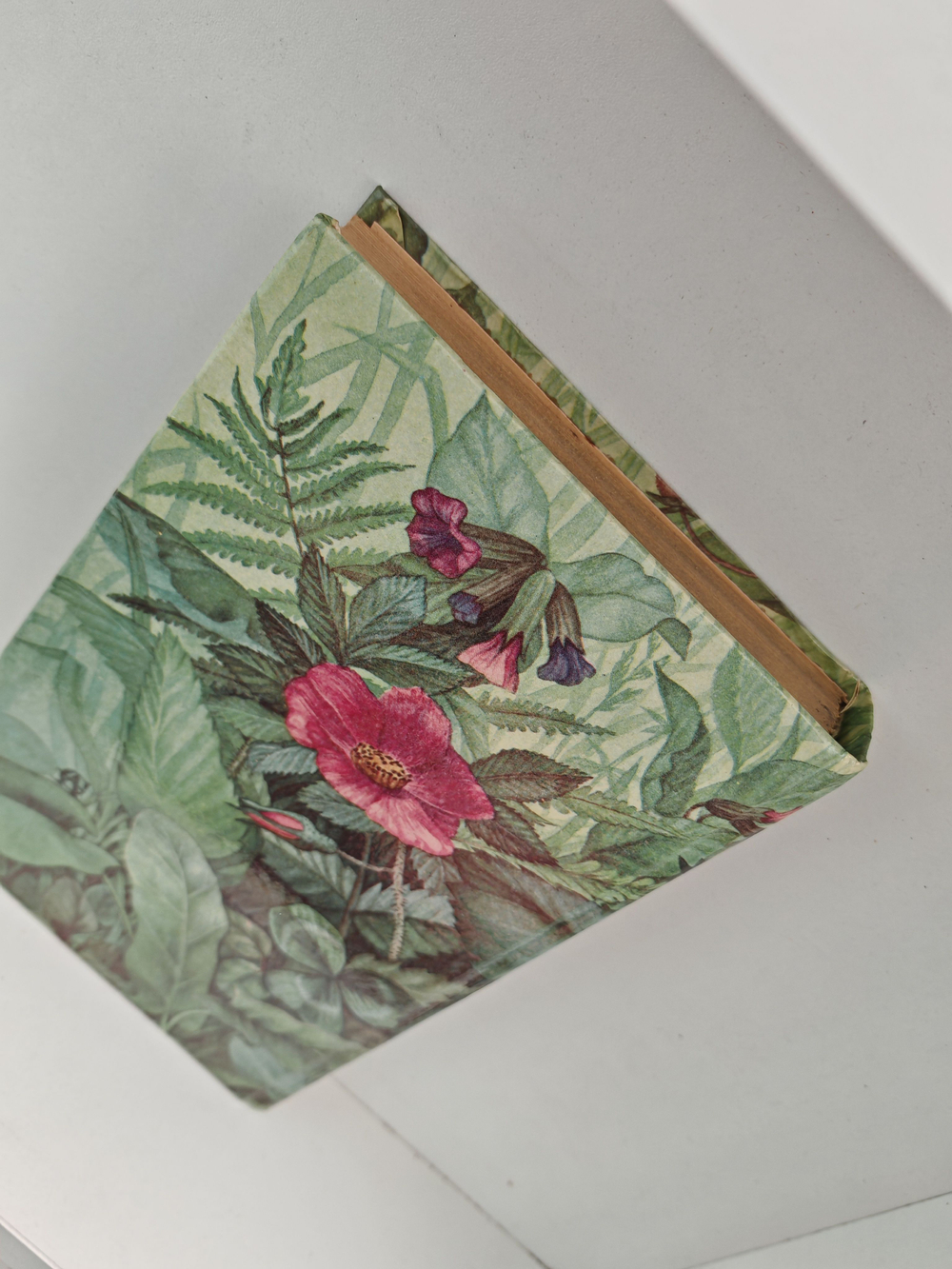 Растения и здоровье. 2000 рецептов и советов народной медицины