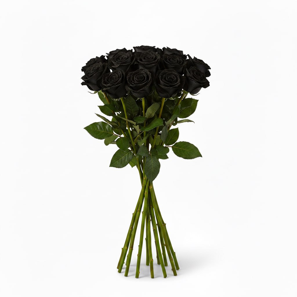 Роза "Эквадор" черная