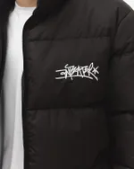 Пуховик Anteater AW25 Downjacket черный