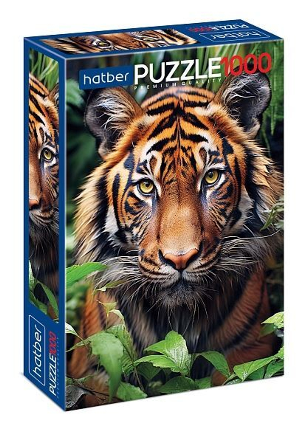 8b9cdc8f-0223-11ef-9c75-4ccc6ab321ae_c1aee682-0476-11ef-9c75-4ccc6ab321ae