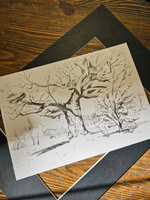 Картина, графика в паспарту 21х30 см на стену для интерьера "Дуб"