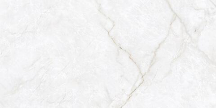 Керамогранит Fleuri Bianco gloss 1200x600 КР 17081