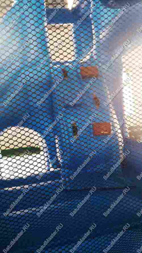 Детский надувной батут "Границы радости", синий, 3,5*3*3 м