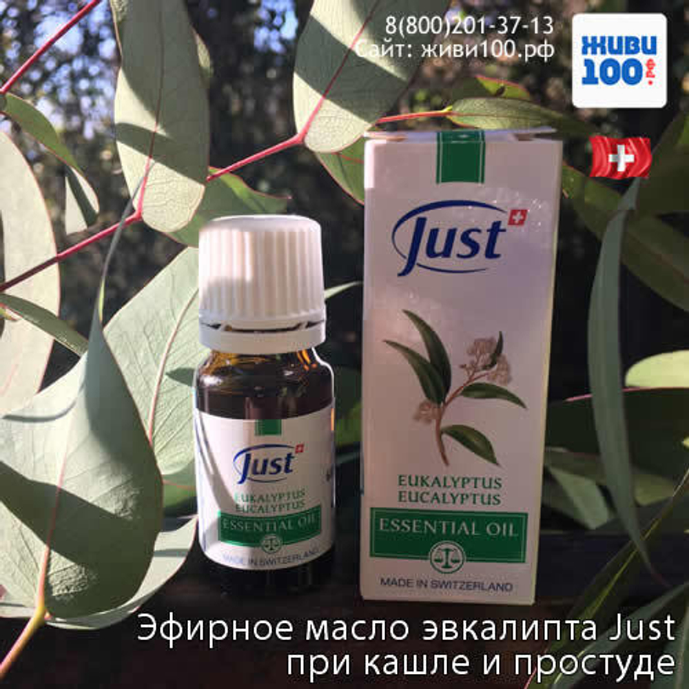 Эфирное масло Эвкалипта Юст Eucalyptus Just 10 мл