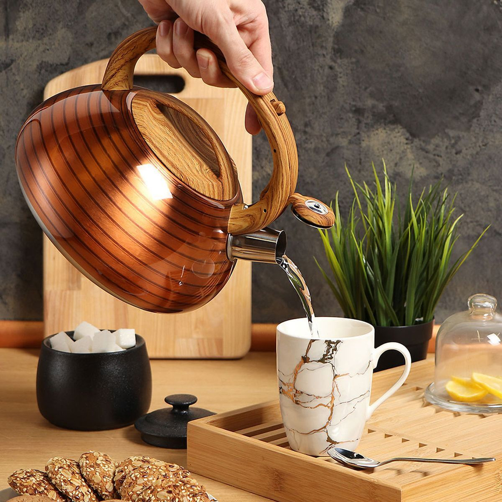 Чайник нерж, 3 л, свист, зеркал, ручк с силик покр, Daniks, индукц, корич, DSC-8797