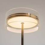 Напольный светильник (торшер) Maytoni MOD348FL-L24BBS3K