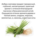 Ветивер и амбра, кубики восковые для ароматизации, 10 штук
