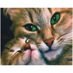 Алмазная мозаика на подрамнике с полным заполнением «МИР ЯРКИХ КРАСОК», замУрчательное счастье, 30*40 см