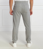 Спортивные штаны Gant - серый(2009026)