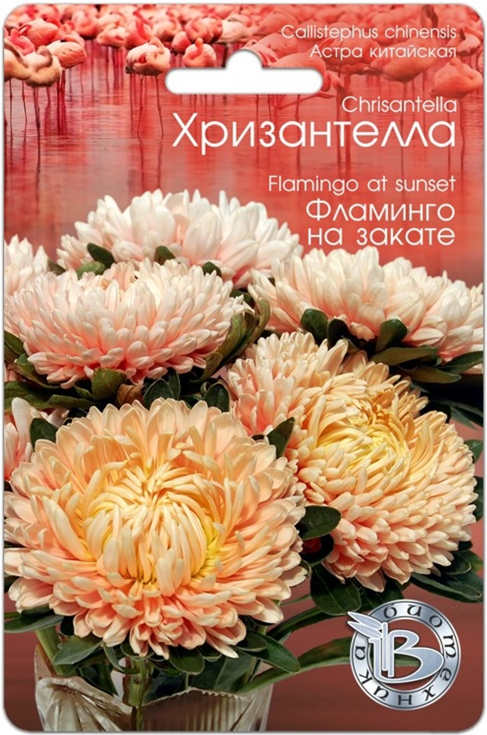 Хризантелла Фламинго на Закате