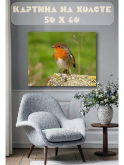 Картина на стену 40 X 50 Птица зарянка