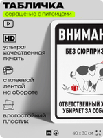 Табличка "Без сюрпризов! Ответственный хозяин убирает за собакой" на дверь и забор, для двора, дома, подъезда, 40х30 см, Silver Plane x Айдентика Технолоджи