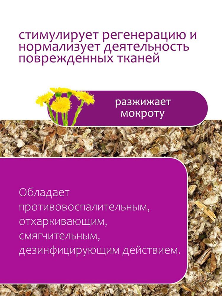 Мать-и-мачеха