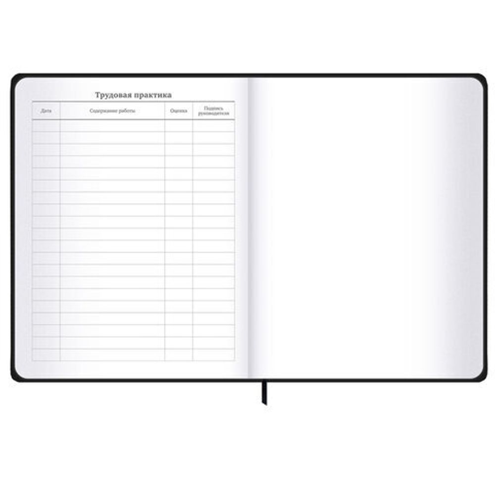 Дневник 1-11 класс 48 л., твердый, BRAUBERG, матовая ламинация, резинка, закладка-ляссе, с подсказом, "Дракон", 107240