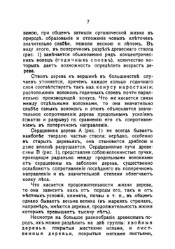 Деревянные дома-дачи | Папенгут Александр Фердинандович