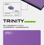 JOOLA Hugo Calderano Trinity Dynamic