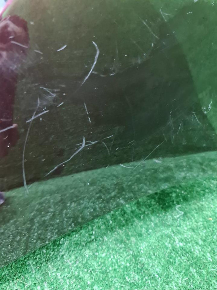 Бампер передний Mercedes E W213 20-23 AMG В сборе