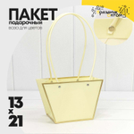 Пакет подарочный 21х13х10.5см Ваза для цветов с золотой рамкой (Бежевый)